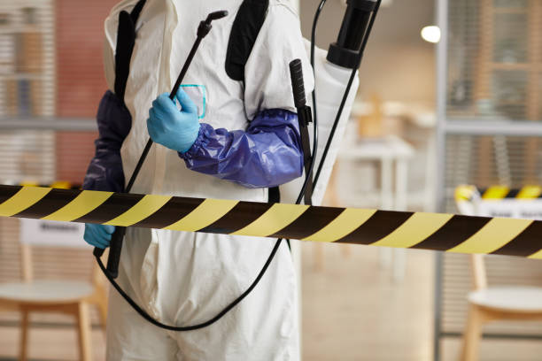 Professional Sewage Cleanup technician working in Honokaa, HI